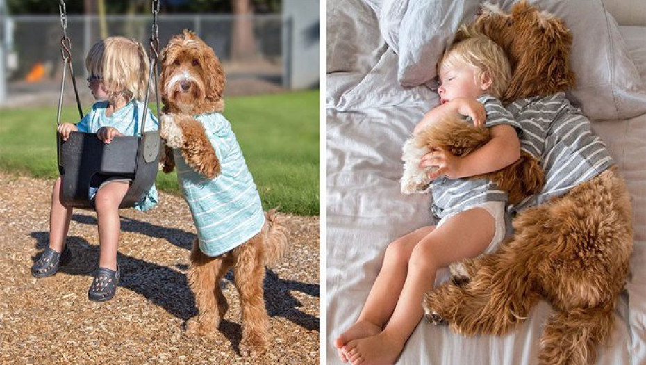 Μια συγκινητική φιλία ανάμεσα σε ένα αγοράκι και τον σκύλο του