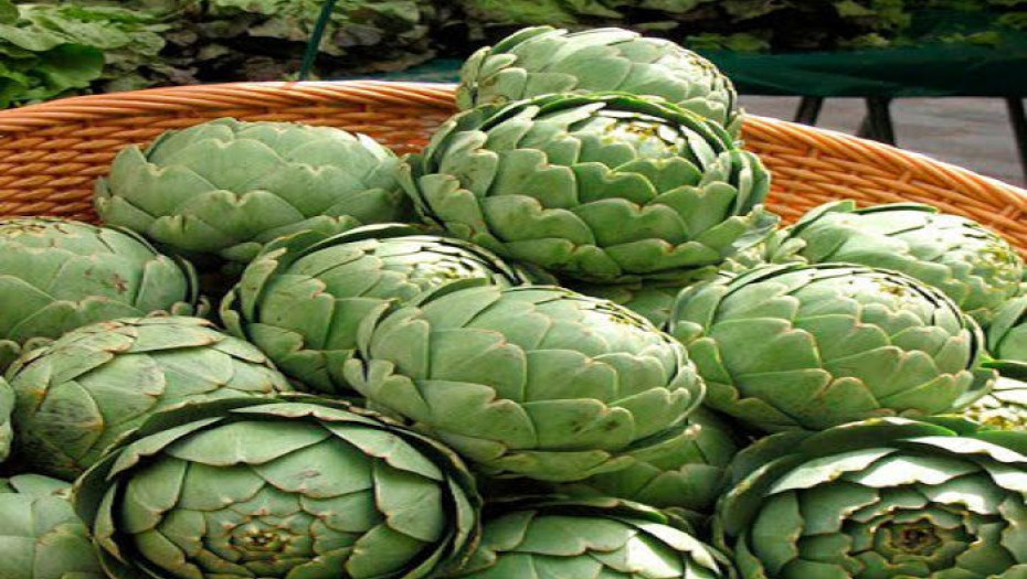 Αγκινάρες, για συκώτι, έντερο, χοληστερίνη, οστεοπόρωση, αναιμία, αρθριτικά, κατά του καρκίνου