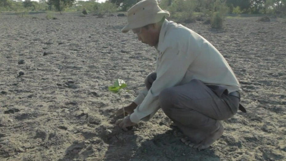 Ο άνθρωπος που φύτεψε μόνος ένα δάσος μεγαλύτερο και από το central park
