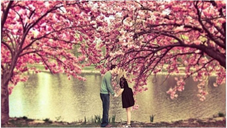 Ο υπέροχος μύθος της Αμυγδαλιάς που εξηγεί γιατί η αγάπη δεν μπορεί να νικηθεί ποτέ από τον θάνατο