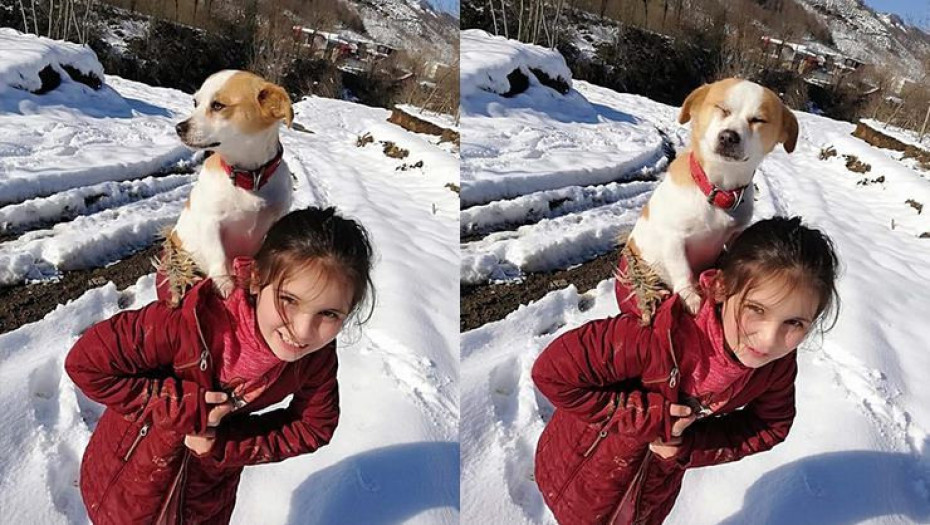 8χρονη περπάτησε 2,5 χιλιόμετρα στο χιόνι κουβαλώντας το σκύλο της για να τον πάει στον κτηνίατρο.