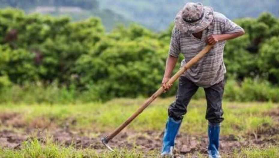 Έρευνα Διάρθρωσης Γεωργικών και Κτηνοτροφικών Εκμεταλλεύσεων 2023 από την ΕΛΣΤΑΤ