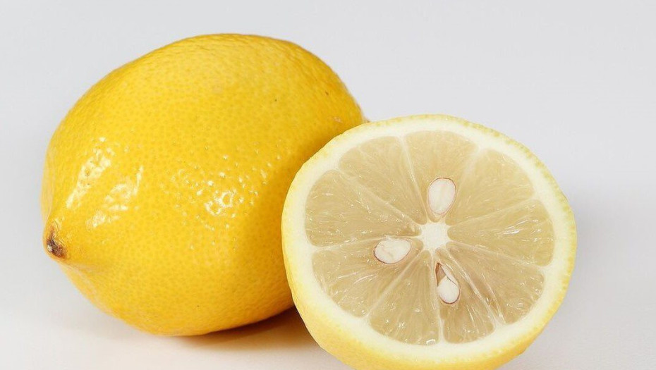 «Πόλεμος» προσφορών για ένα… λεμόνι από την Ινδία του 1739 -Πουλήθηκε σε δημοπρασία για 1.800 δολάρια! (φωτο)