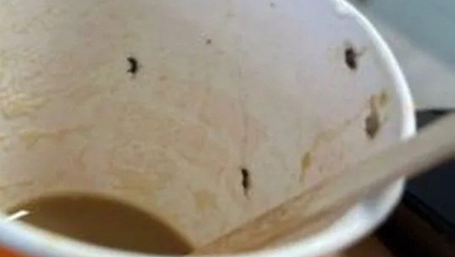 Σοκ για 21χρονη: Πήρε καφέ από αεροδρόμιο γεμάτο… έντομα – Βρέθηκε στην εντατική