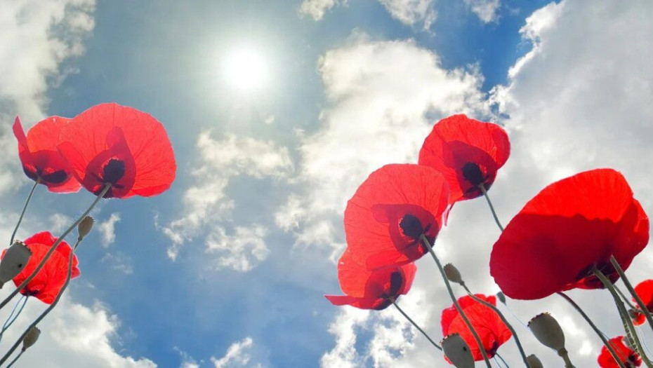 Καιρός: Ανάσταση με ομπρέλες, αλλαγή σκηνικού την Κυριακή του Πάσχα -Ποιοι θα σουβλίσουν σε υπόστεγα