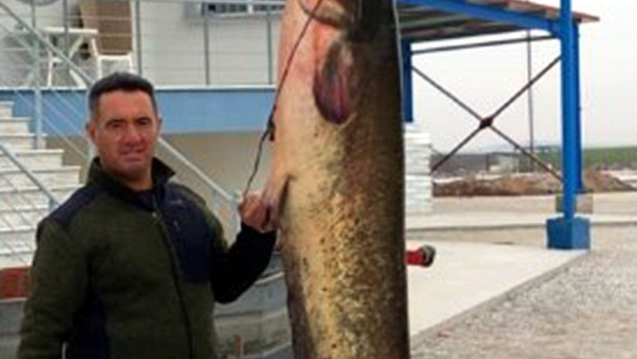 Έπιασε στον Στρυμόνα ένα ψάρι δύο και πλέον μέτρων και 65 κιλών!