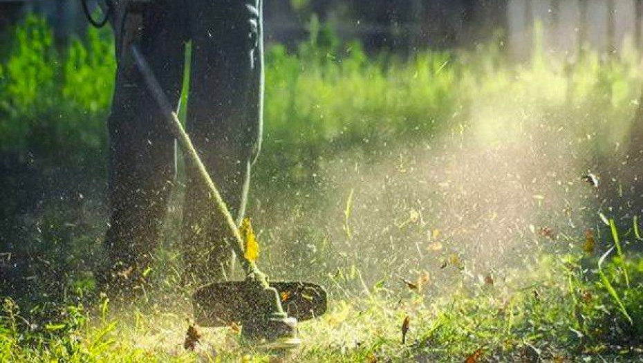 Καθαρισμός Οικοπέδων: Με ταχείς ρυθμούς οι δηλώσεις – Πότε λήγει η προθεσμία