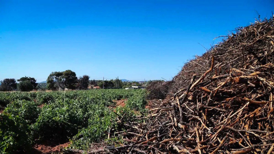 Καθαρισμός οικοπέδων: Μέχρι 30 Απριλίου η διορία – Τα πρόστιμα