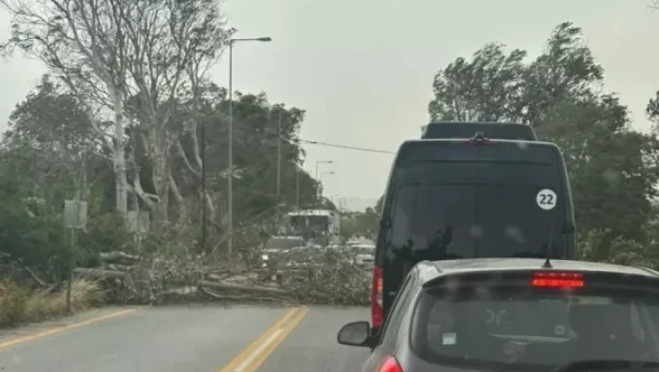 Κρήτη: Προβλήματα λόγω σφοδρών ανέμων – Έπεσαν δέντρα και στύλοι