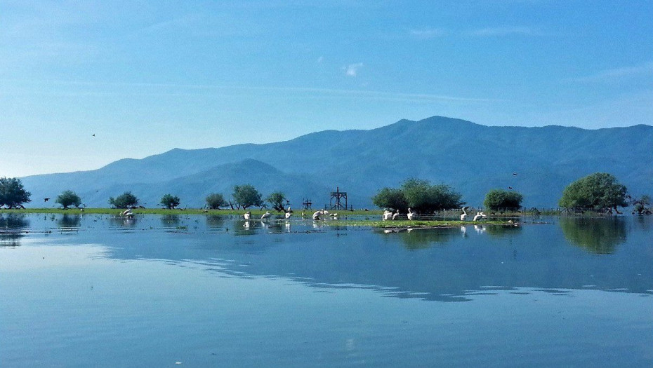 Kerkini Global Network: Αναπτυξιακή ημερίδα για την Κερκίνη το Σάββατο 10 Μαΐου