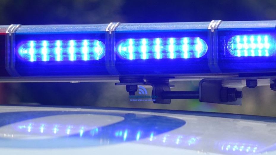 189 δενδρύλλια κάνναβης σε δύσβατη περιοχή της Χαλκιδικής