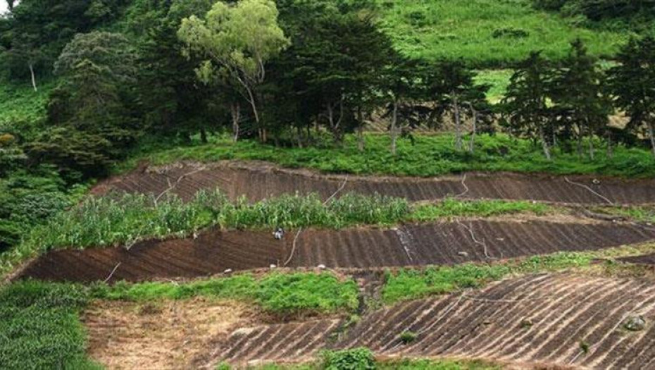 Κώστας Μπούμπας: "Είναι τραγελαφικό να χρηματοδοτείτε την αγρανάπαυση και όχι τις δασώσεις"