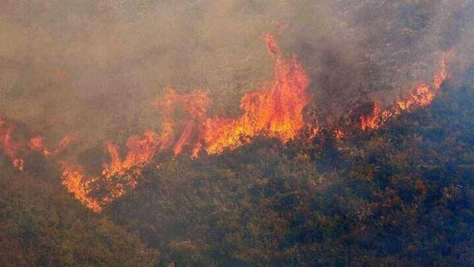 Η πρόληψη δασικών πυρκαγιών είναι υπόθεση όλων μας - Με το παραμικρό πάρτε τηλ στο 112