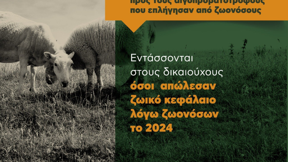 Επέκταση της ενίσχυσης προς τους αιγοπροβατοτρόφους που επλήγησαν από ζωονόσους