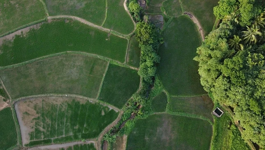 ΠΟΓΕΔΥ-Από τις εικονικές βοσκές στη "ψεύτικη ευφυΐα";