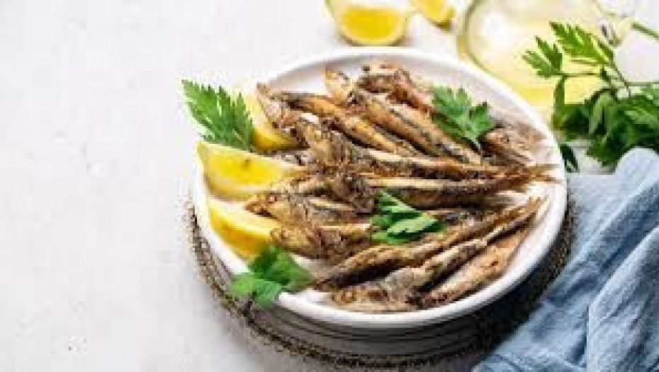 Ψάρια και θαλασσινά: Ποια είναι τα πιο θρεπτικά; Ένας καθηγητής του Χάρβαρντ απαντά