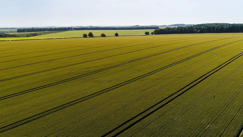 Από την ΑΑΔΕ έφοδος σε Κέντρο Υποδοχής Δηλώσεων ΟΣΔΕ