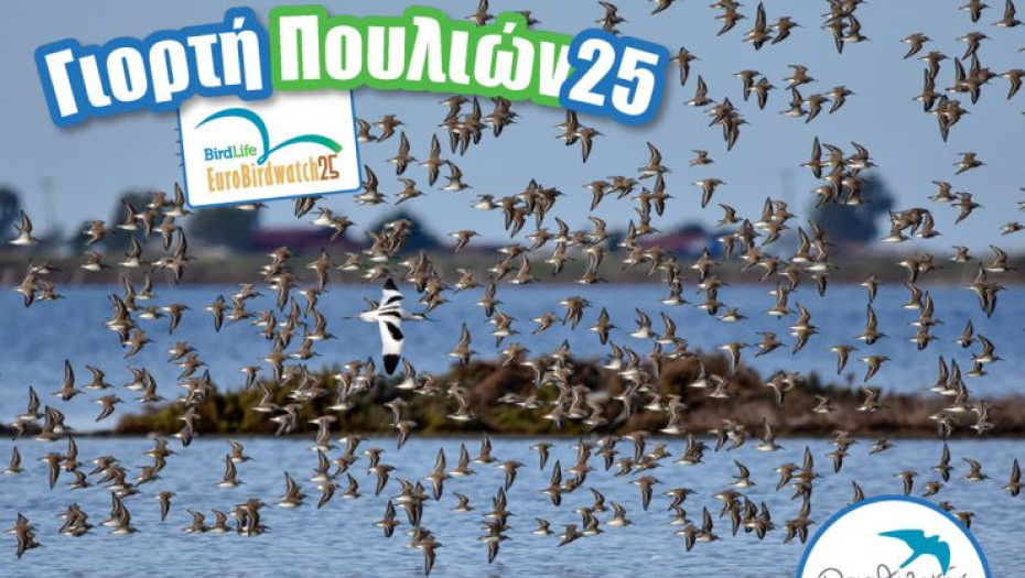 Ευρωπαϊκή Γιορτή των Πουλιών-Την Κυριακή στη Λίμνη Κερκίνη