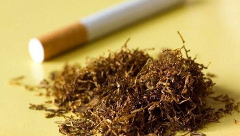 ΑΑΔΕ: Σοκαριστικά ευρήματα σε αναλύσεις παράνομων καπνικών προϊόντων – Περιττώματα ζώων, νύχια και μούχλα