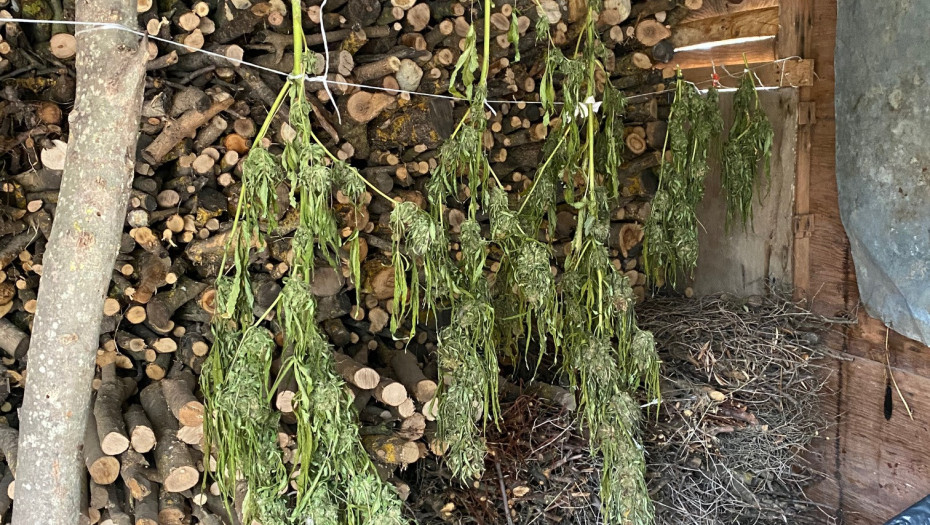 Θεσσαλονίκη: Συνελήφθησαν 3 άτομα για διακίνηση ναρκωτικών ουσιών