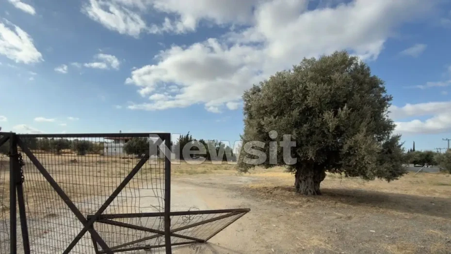 Άγρια συμπλοκή σε κρητικό γλέντι στη Μεταμόρφωση: Έβγαλαν μαχαίρια λόγω προτεραιότητας – Στο νοσοκομείο 4 άτομα