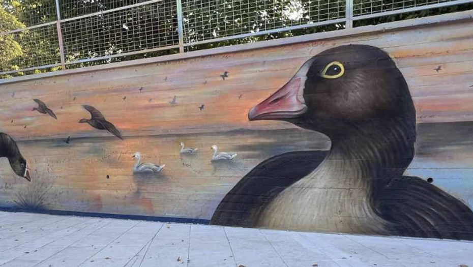 Οι Νανόχηνες «προσγειώθηκαν» στα σχολεία της Αλεξανδρούπολης!