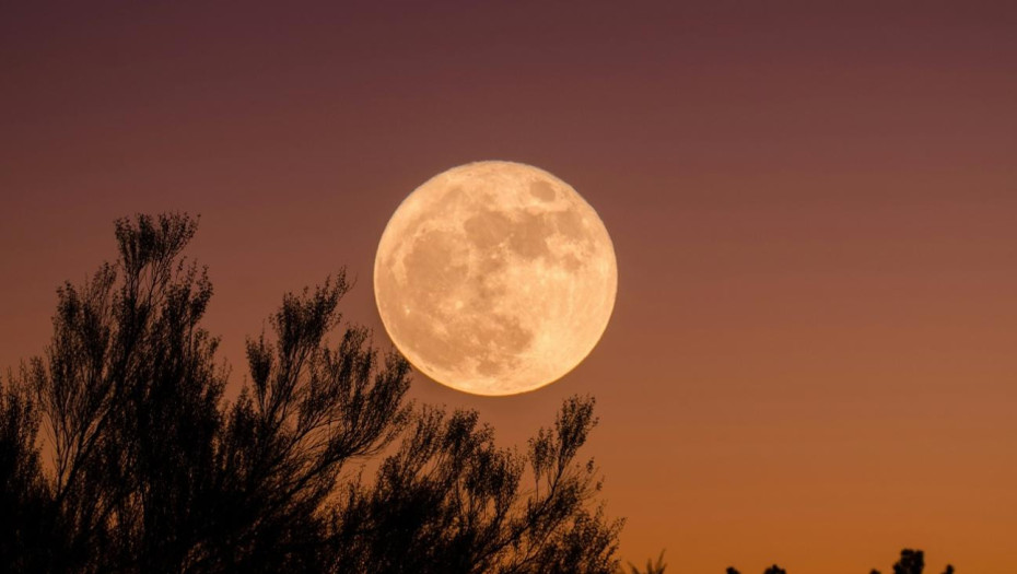 Νέα Σελήνη στις 21 Οκτωβρίου: Τα 3 ζώδια που θα επηρεαστούν περισσότερο και θα ανοίξουν νέα κεφάλαια στη ζωή τους