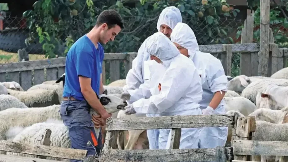 ΠΑΣΟΚ Σερρών -Η αιγοπροβατοτροφία σε οριακό σημείο