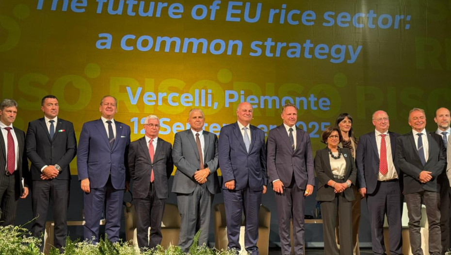 Το ευρωπαϊκό ρύζι οικολογικός θησαυρός και εμπορική ευκαιρία –της Ελλάδας