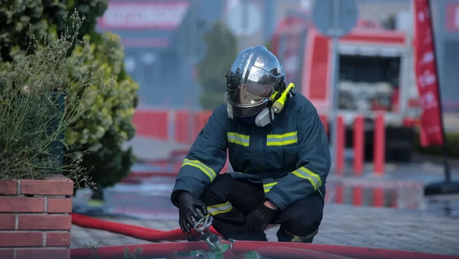 Πυρκαγιά σε διαμέρισμα στη Θεσσαλονίκη - Πέθαναν από ασφυξία επτά γάτες