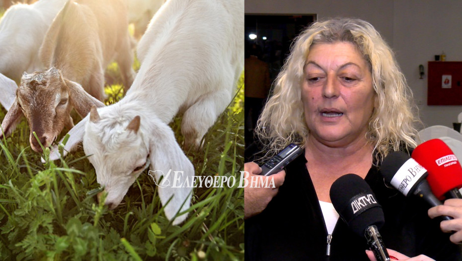 Ελπίδα Σιδηροπούλου - Αφθώδης πυρετός: «Το βλέπουμε να ρχεται - Φοβόμαστε ότι θα είναι το τελικό χτύπημα»