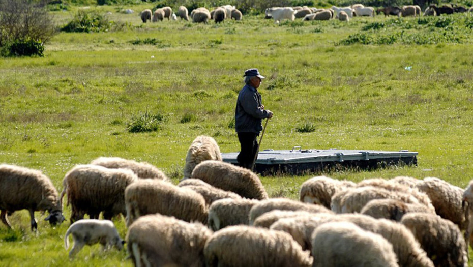 Χρήστος Κέλλας: Δεν υπάρχει εγκεκριμένο εμβόλιο κατά της ευλογιάς στην ΕΕ