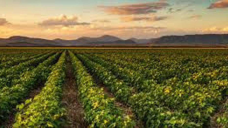 ΠΟΓΕΔΥ -Πακέτο με έντονο “μετά” (ΘΑ)  και λιγότερο “τώρα”