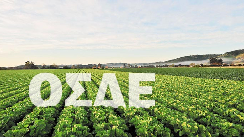 Για διορθώσεις σφαλμάτων άνοιξε ξανά το ΟΣΔΕ στους αγρότες