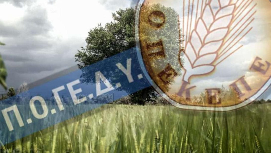 ΠΟΓΕΔΥ: Όταν η «μεταρρύθμιση» καταρρέει, ο “Βασιλιάς Ήλιος” οφείλει να λογοδοτήσει»