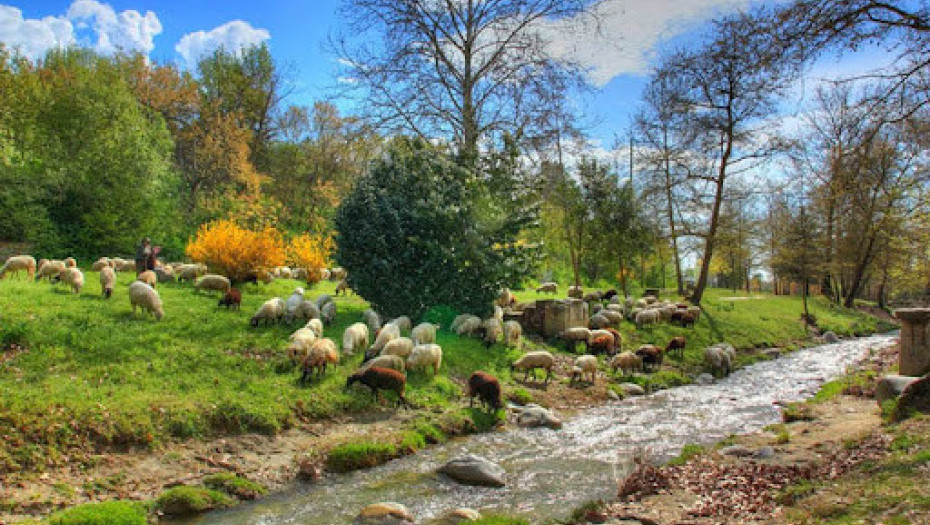 Με επιτυχία η εκδρομή του ΣΥΠΕΚΑΑΣ Σερρών στο Τσεπέλοβο Ζαγορίου