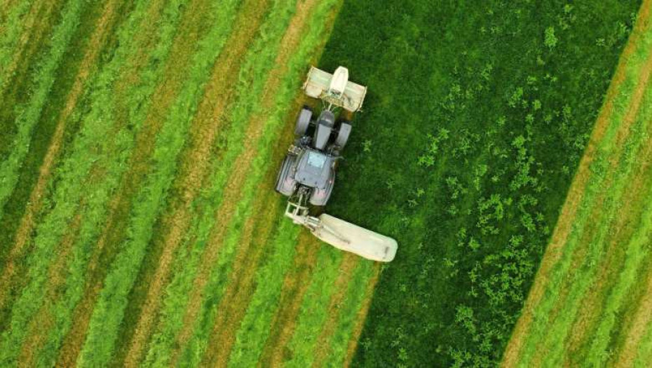 Είναι οργανωμένη απόσυρση του κράτους από την ευθύνη η διάταξη Χατζηδάκη δεν είναι μεταρρύθμιση