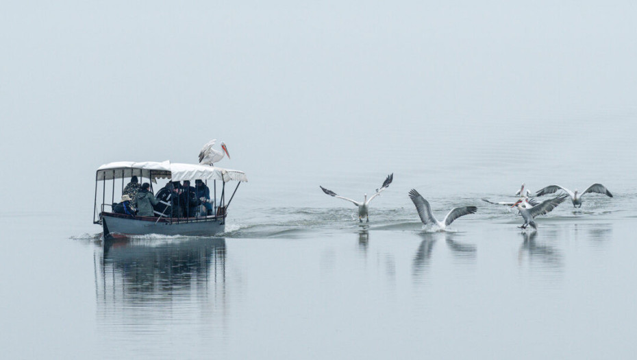 Μαρία Παπαδημητρίου -Λίμνη Κερκίνη και απουσία οικοτουρισμού από την τουριστική στόχευση της περιφέρειας