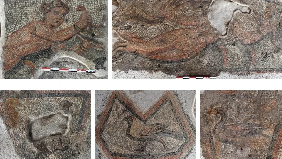 Στο Αμύνταιο της Φλώρινας, με ψηφιδωτά και τοιχογραφίες -Δρομολογείται η αποκατάσταση και η ανάδειξη ρωμαϊκής έπαυλης