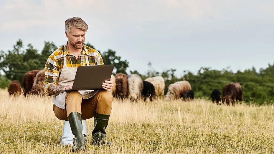 Η ΠΟΓΕΔΥ ζητά απαντήσεις Οι υπηρεσίες στενάζουν, τα “μαξιλάρια” φουσκώνουν.