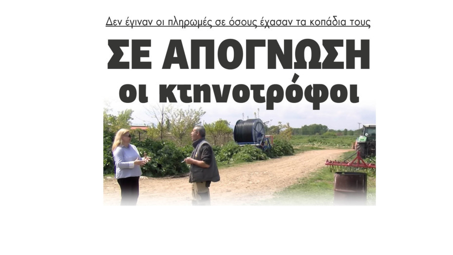 Σε απόγνωση οι κτηνοτρόφοι - Δεν έγιναν οι πληρωμές σε όσους έχασαν τα κοπάδια τους
