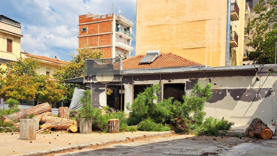 Ενεργοί Πολίτες Σερρών: Θράσος δίχως όρια. Έκοψαν τα δέντρα του ΚΡΟΝΙΟΥ, τα οποία αποτελούσαν τοπόσημα για την πόλη μας