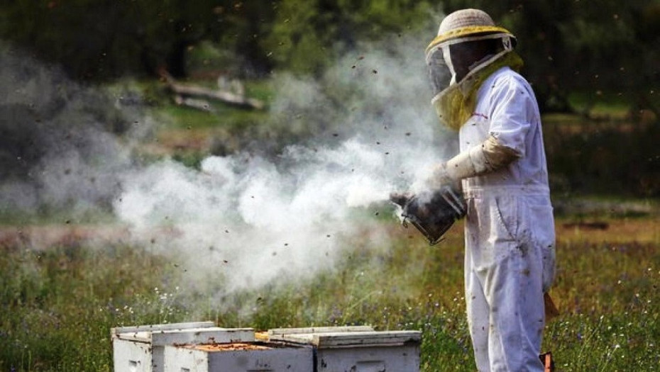 Λήψη προληπτικών μέτρων από μελισσοκόμους κατά την αντιπυρική περίοδο