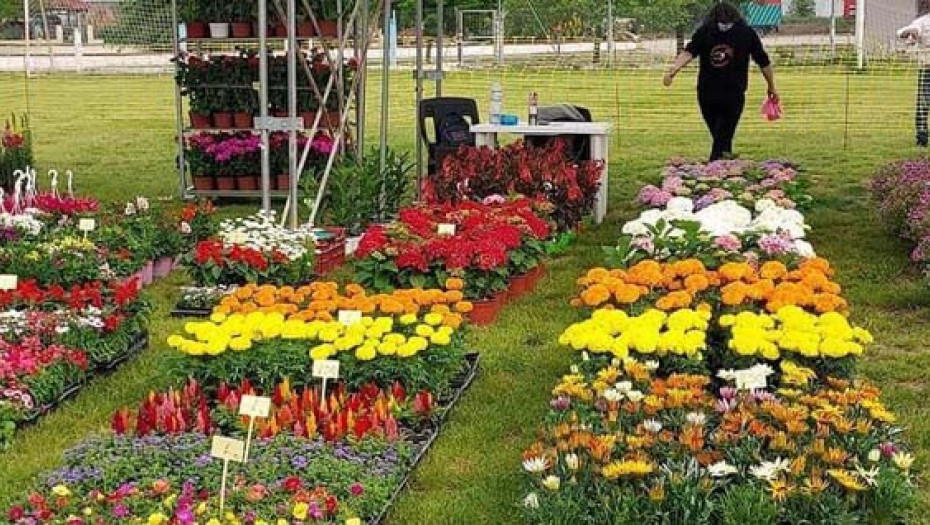 Η 25η Ανθοκομική Έκθεση Μονόβρυσης στις 7 Μαΐου ανοίγει τις πύλες της