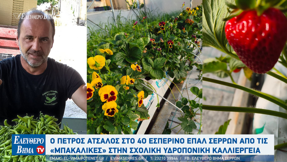 Ο Πέτρος Άτσαλος στο 4ο εσπερινό ΕΠΑΛ Σερρών - Από τις «μπακάλικες» στην σχολική υδροπονική καλλιέργεια