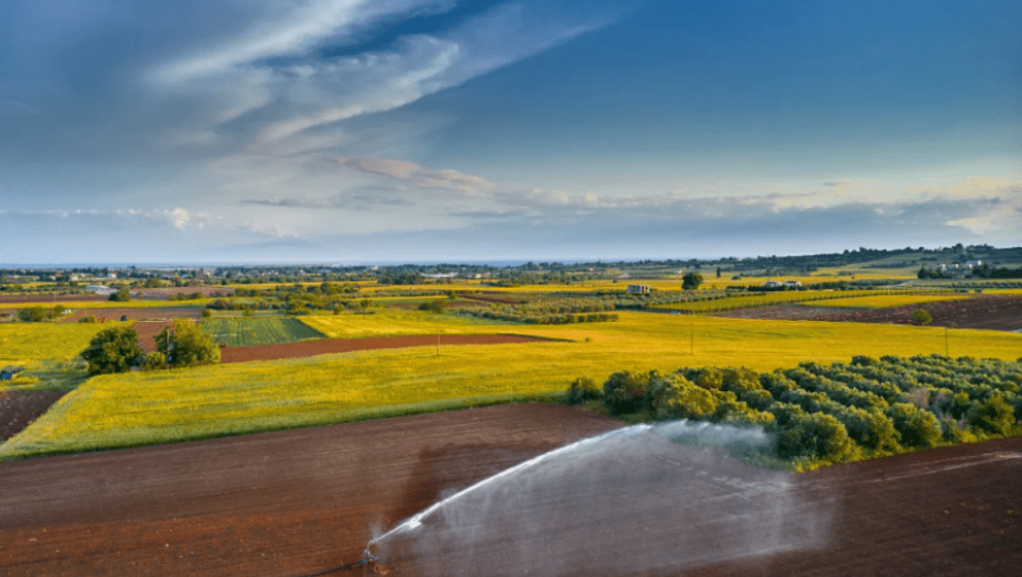 ΠΟΓΕΔΥ: Τι θα γίνει με το ταμείο γεωργίας και κτηνοτροφίας;