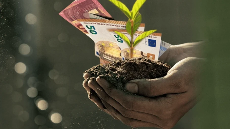 Καθορίστηκαν οι τιμές των Οικολογικών Σχημάτων για το 2025