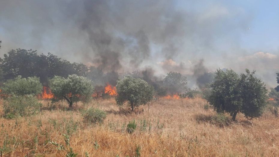 Οριοθετήθηκε η πυρκαγιά στην Οινούσσα