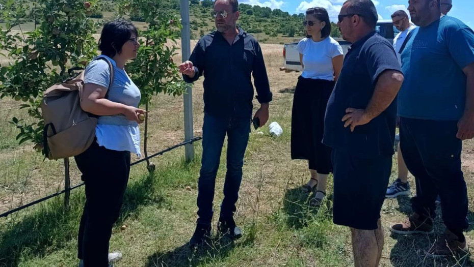 Κλιμάκιο του ΚΚΕ στο Αχλαδοχώρι Σερρών για τη χαλαζόπτωση