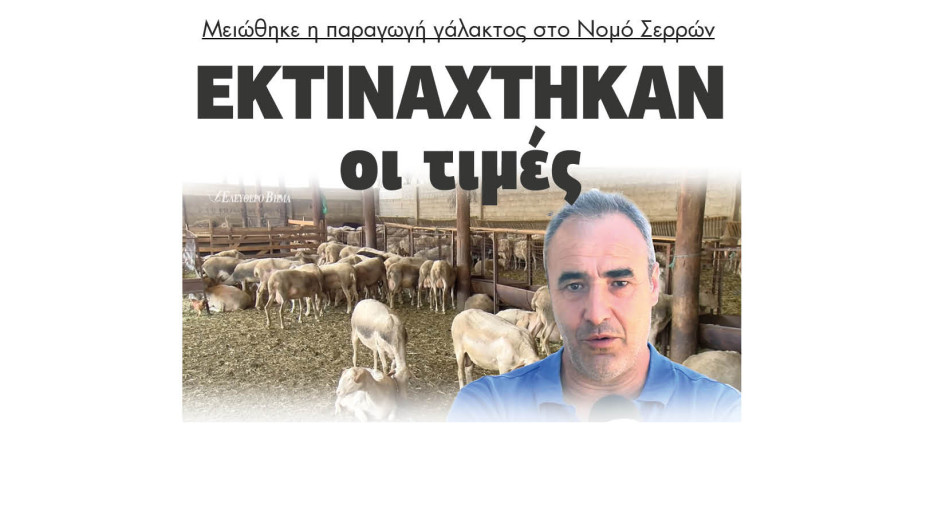 Μειώθηκε η παραγωγή γάλακτος στο Νομό Σερρών - Εκτινάχτηκαν οι τιμές
